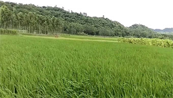 Why how to do land registration: Part 2/9