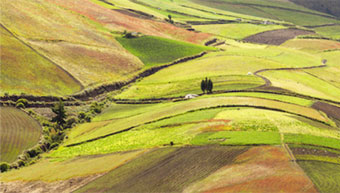 Why how to do land registration: Part 3/9