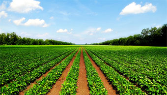 Why how to do land registration: Part I / 9